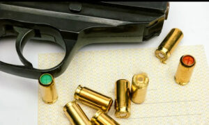 Punjab Government New Orders: No more gun culture in Punjab Punjab Government New Orders: No more gun culture in Punjab